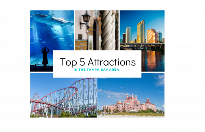 Top 5 Attractions in The Tampa Bay Area